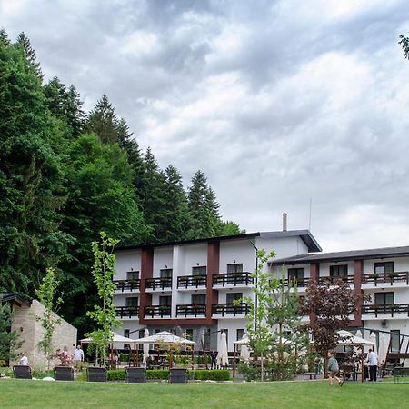Piatra Pinului Ski & Spa Gura Humorului Buitenkant foto