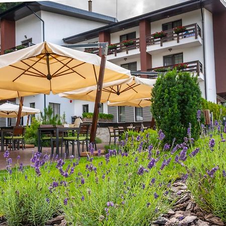 Piatra Pinului Ski & Spa Gura Humorului Buitenkant foto